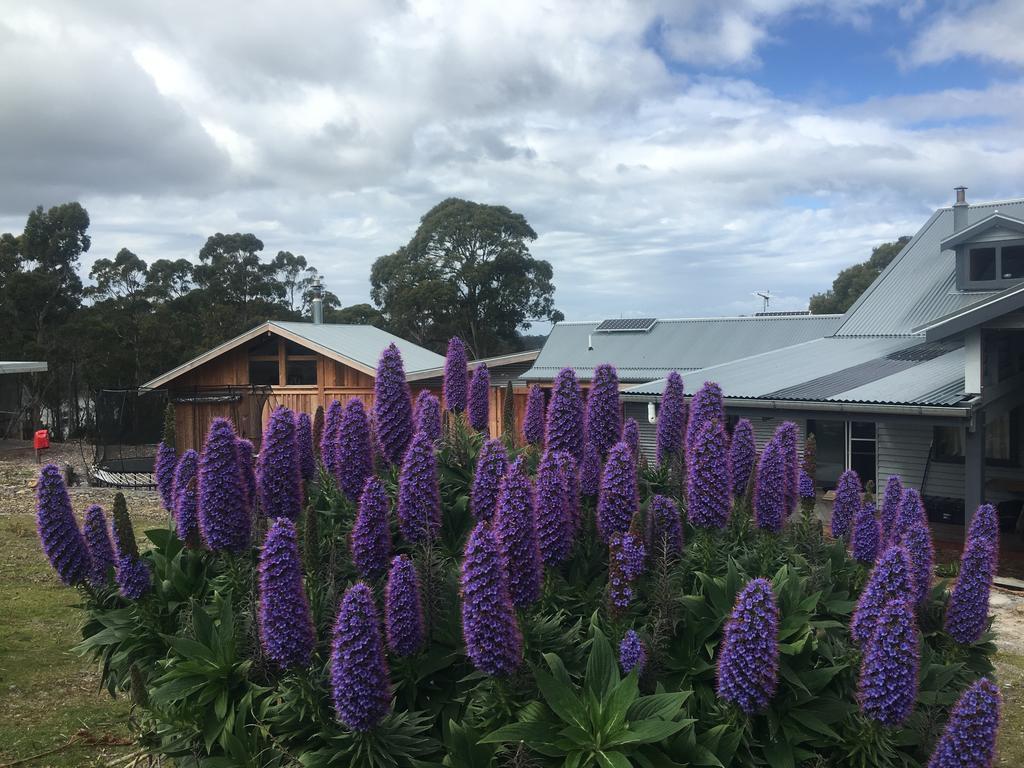 Bruny Island Lodge South Bruny Exterior foto